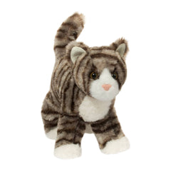 Douglas - Gray Stripe Cat