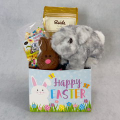 DSG - Baby Bunny's Easter Delight Gift Basket